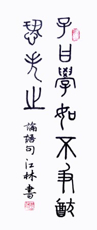 3書(shū)法  江林（釋文：子曰：學(xué)如不及，猶恐失之）